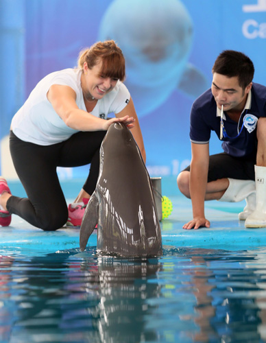 切磋技艺的 切磋技艺的